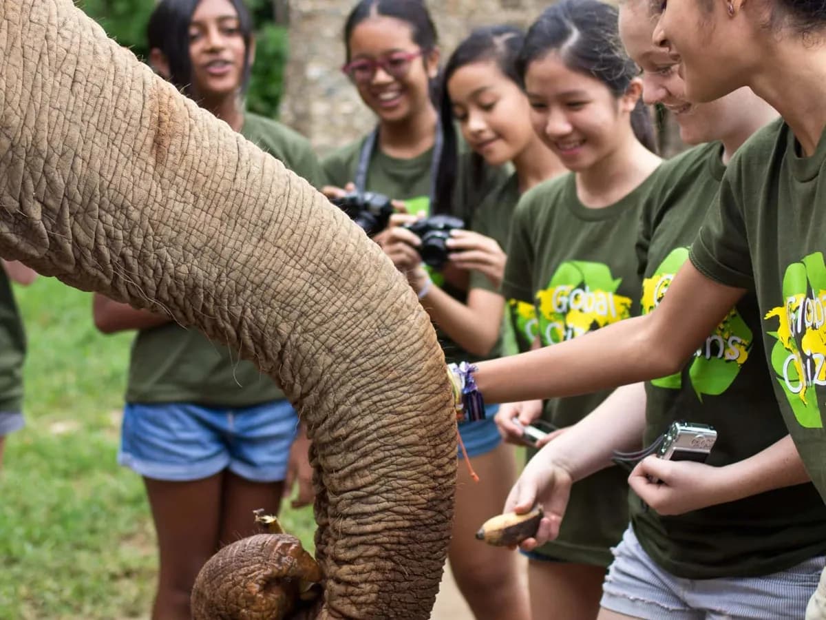 Garden International School students on the Jungle School outdoor learning programme